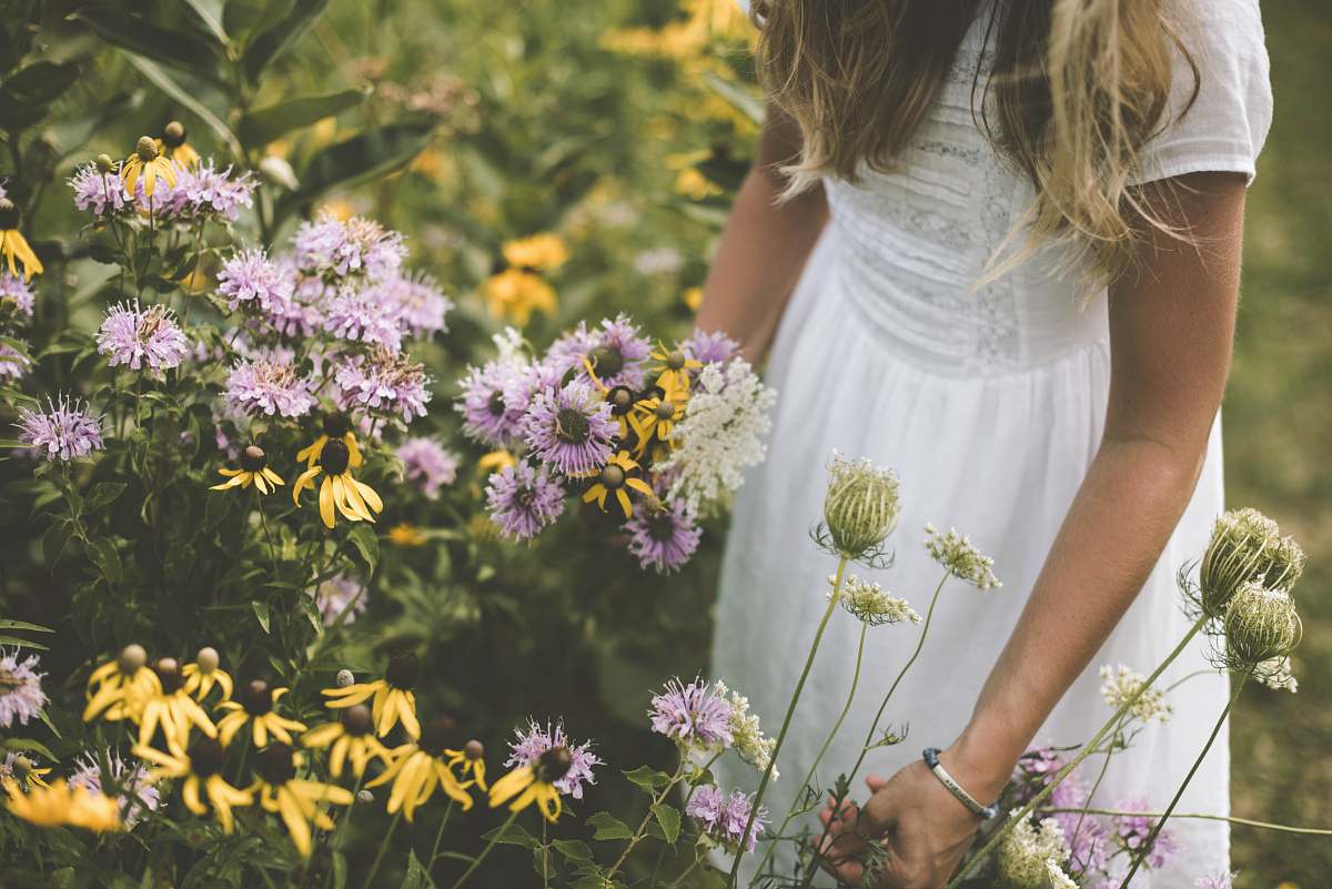 people woman wearing white dress picking petaled flower dress