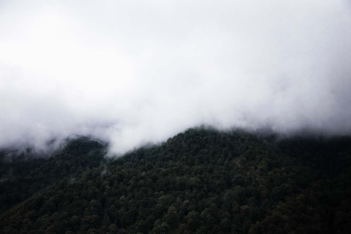 filband foggy mountain full of trees iran