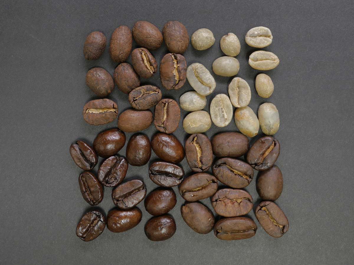 coffee brown coffee beans bean