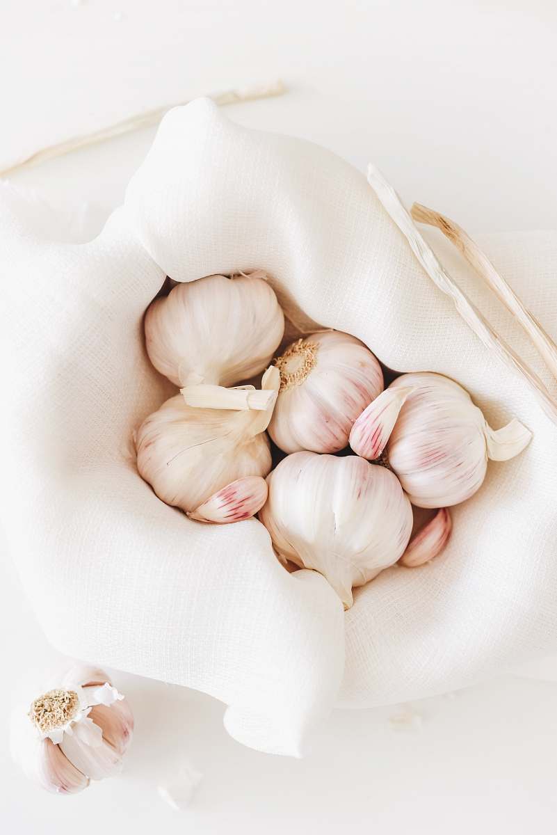 vegetable five garlic on white textile garlic