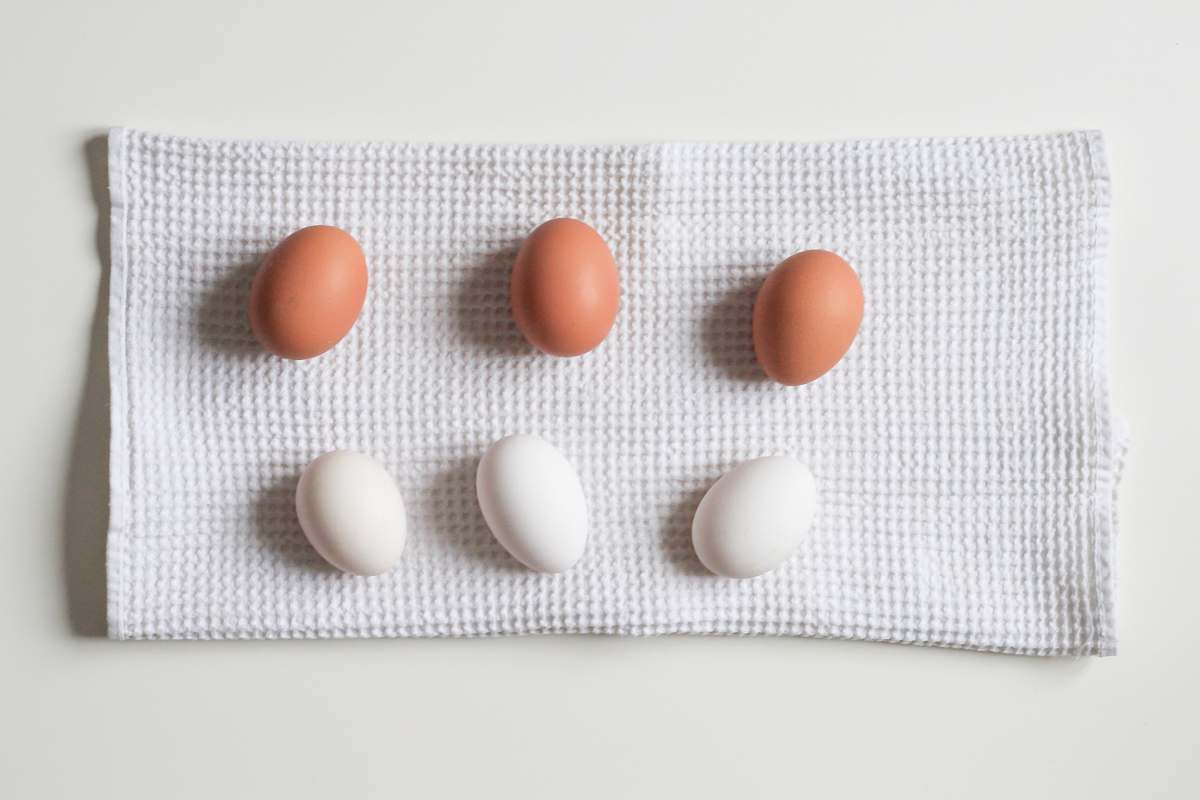 medication six white and brown eggs on white towel pill