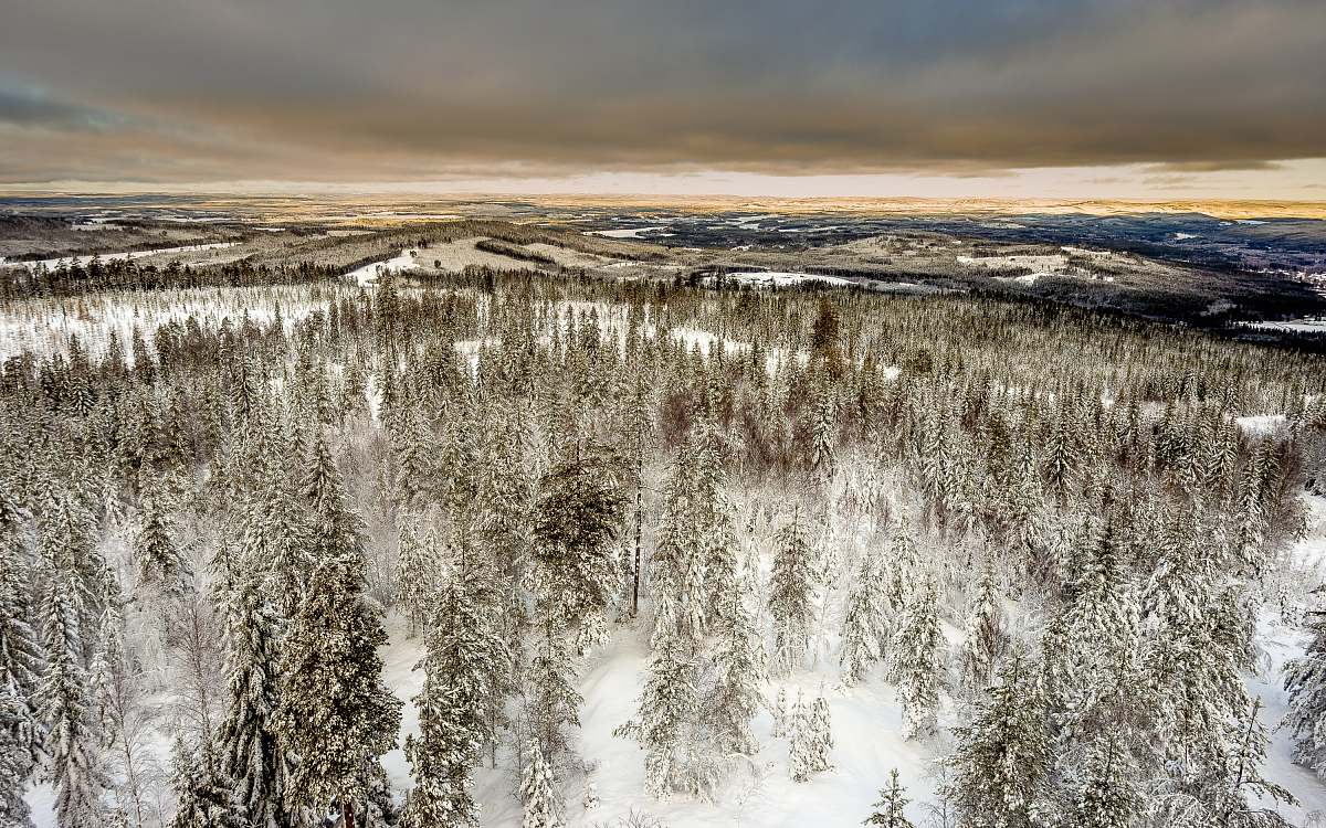 hagfors aerial photography of snow covered green leaf trees under cloudy sky sweden