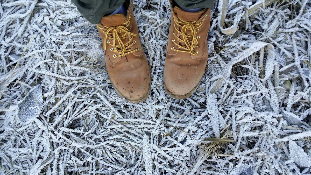 boot person wearing brown leather work boots footwear