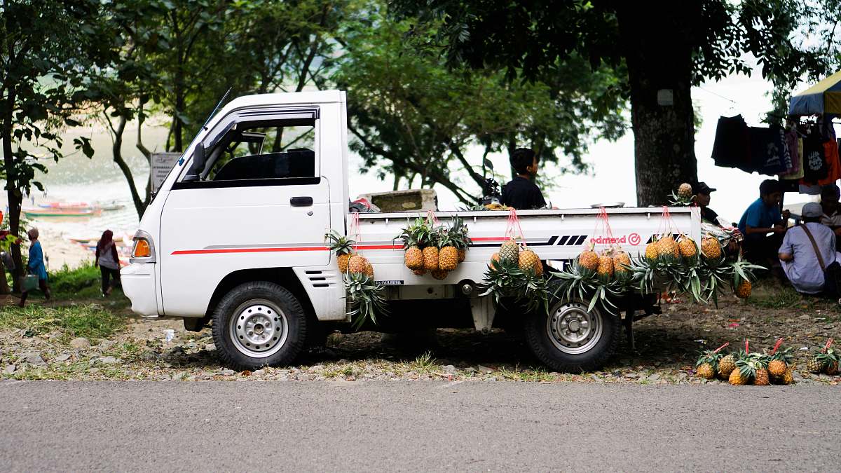 pineapple pineapples hanged on dropside truck flora