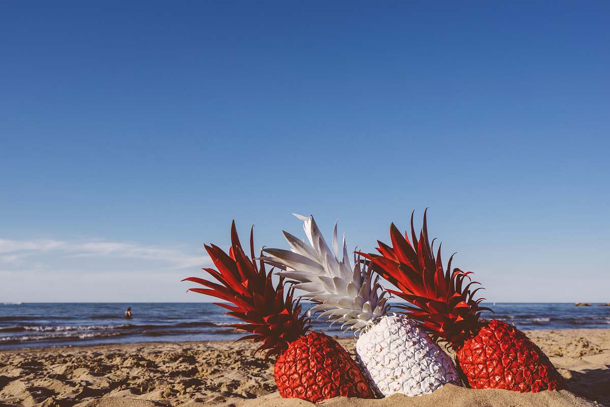 pineapple two red and white pineapples on seashore during daytime sand