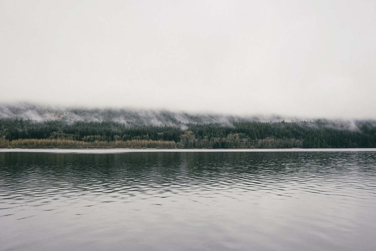 nature body of water near green trees under cloudy sky water