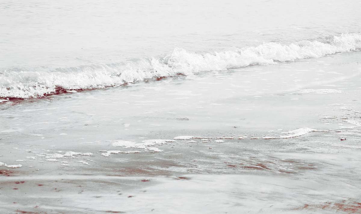 ocean body of water sea