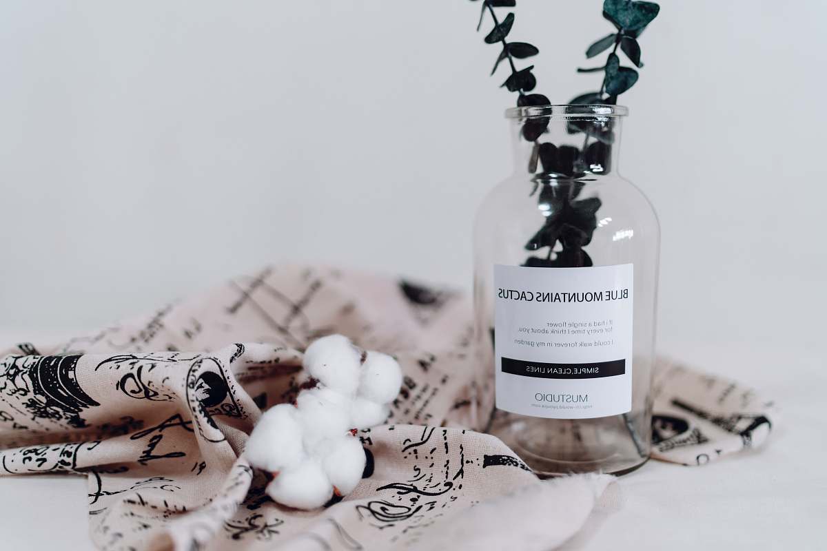 bottle clear glass bottle plant