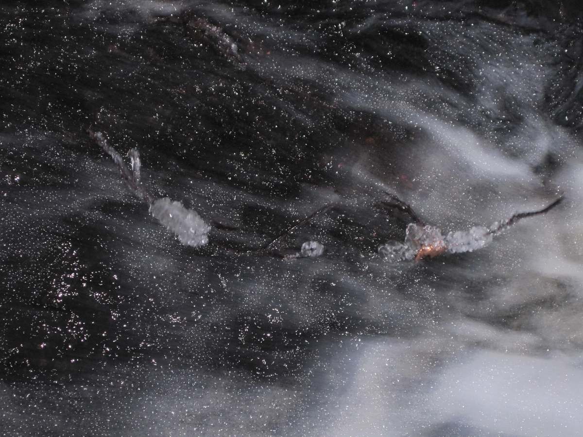 nature gray fog outdoors