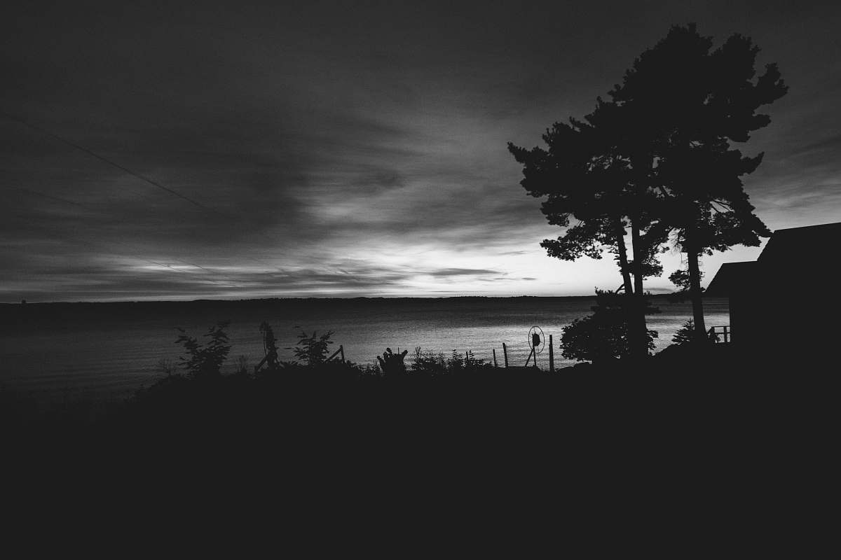 black-and-white grayscale photo of ocean and trees traverse city