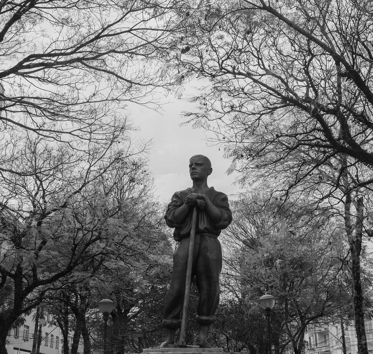 black-and-white grayscale photography of man standing statue near trees sculpture