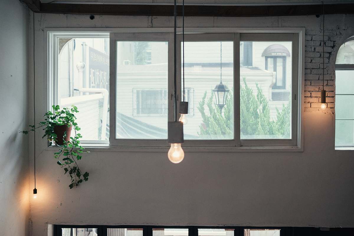 plant hanging lightbulb vase