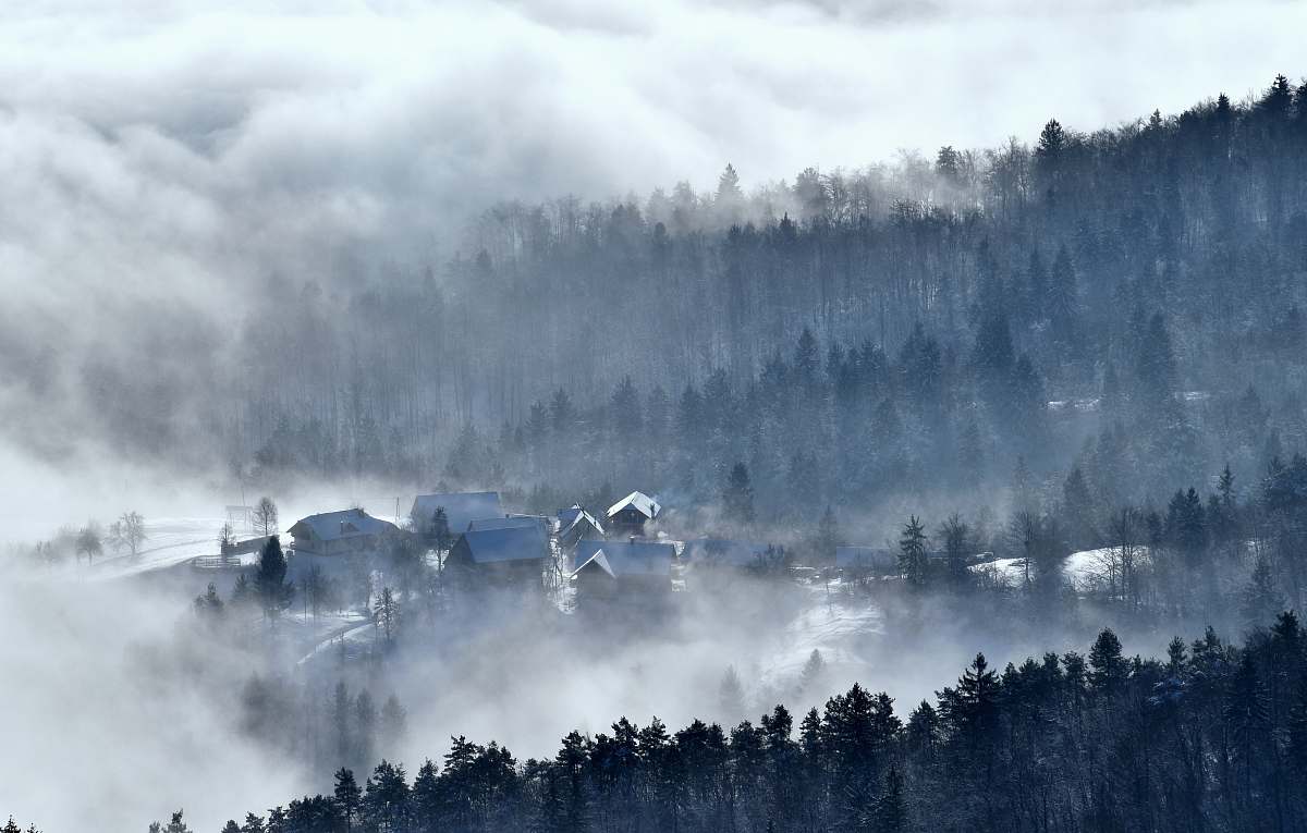 cloud houses surrounded by trees and fog fog