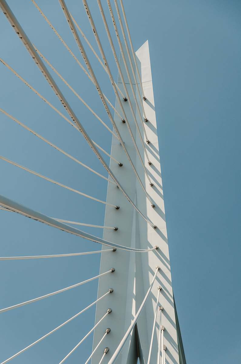 erasmusbrug low angle photography of cable bridge cable