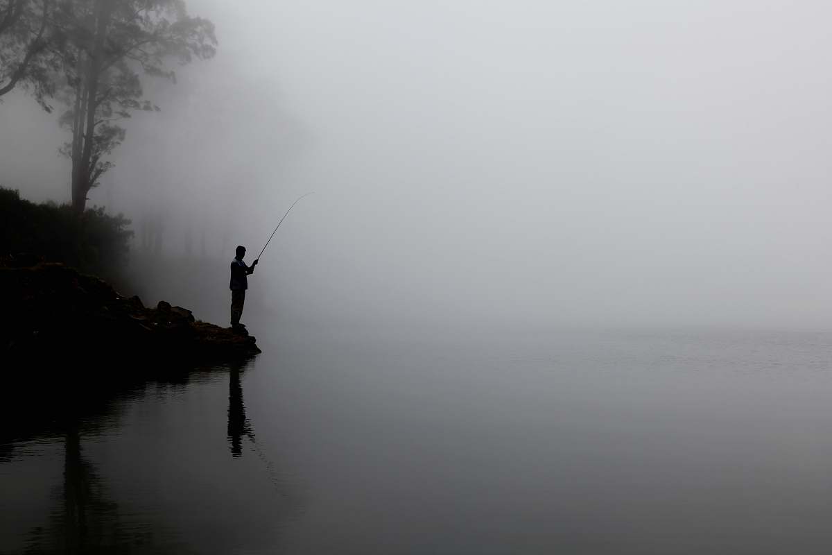 fishing man fishing on calm water behind tree fog