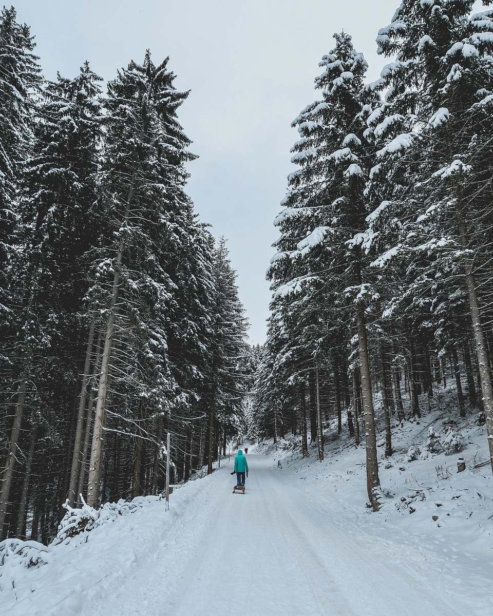 fir person walking on snowy forest trail austria