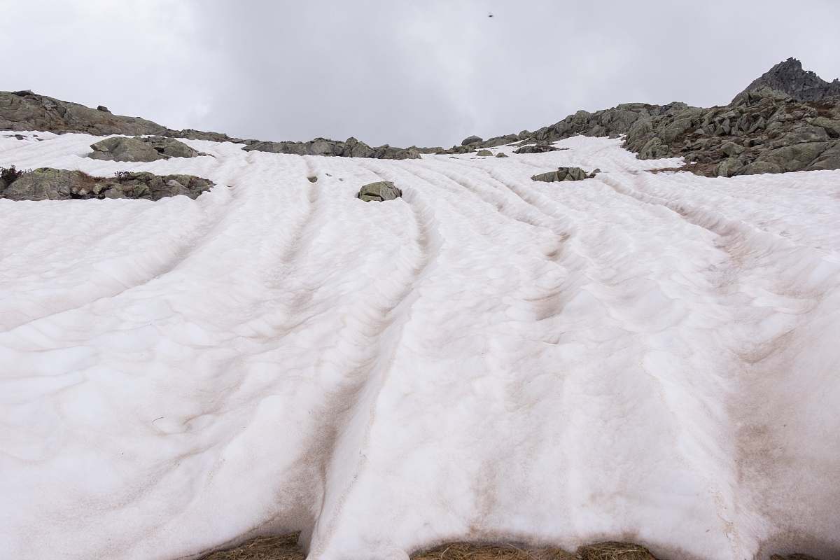 glacier tracks on snow ice