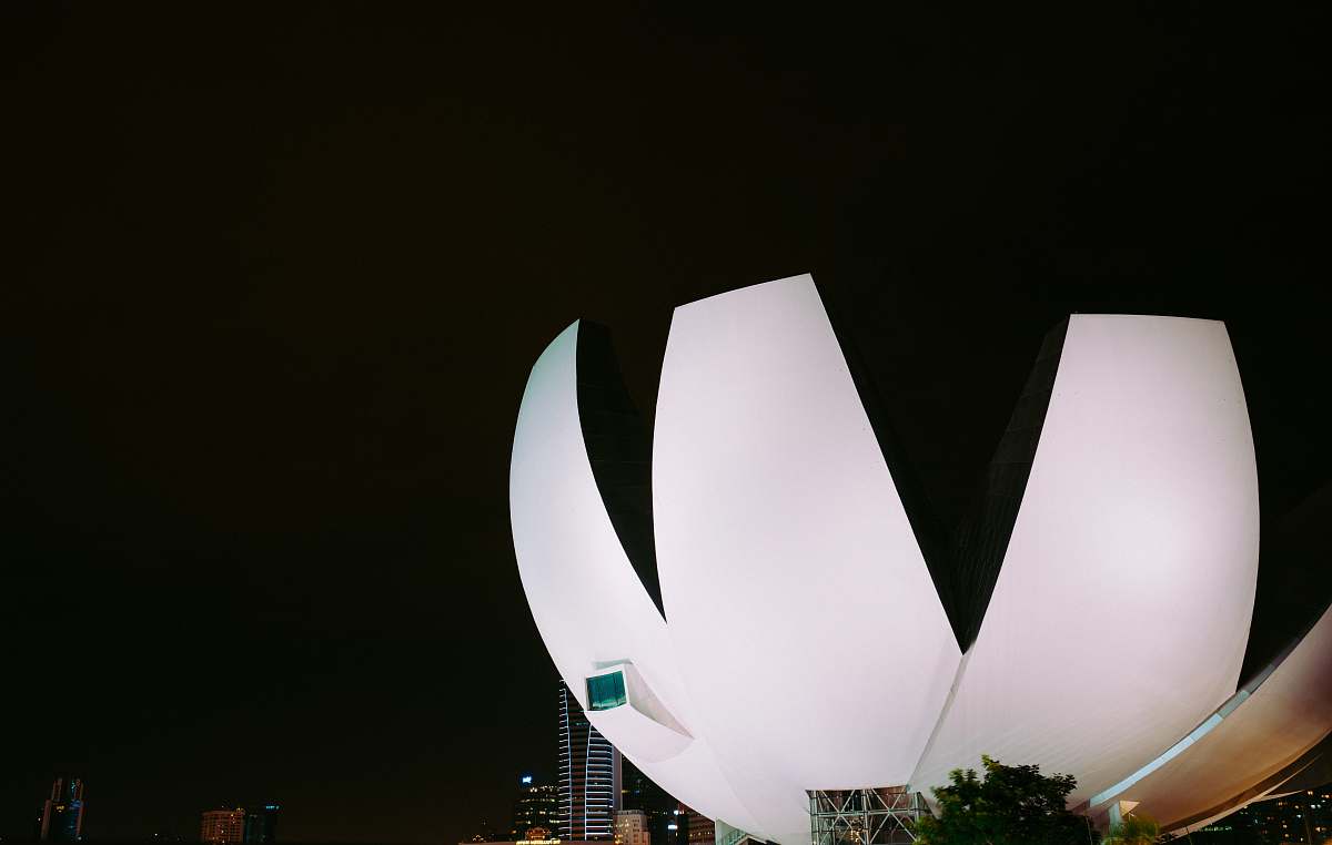 building white flower form building at night singapore