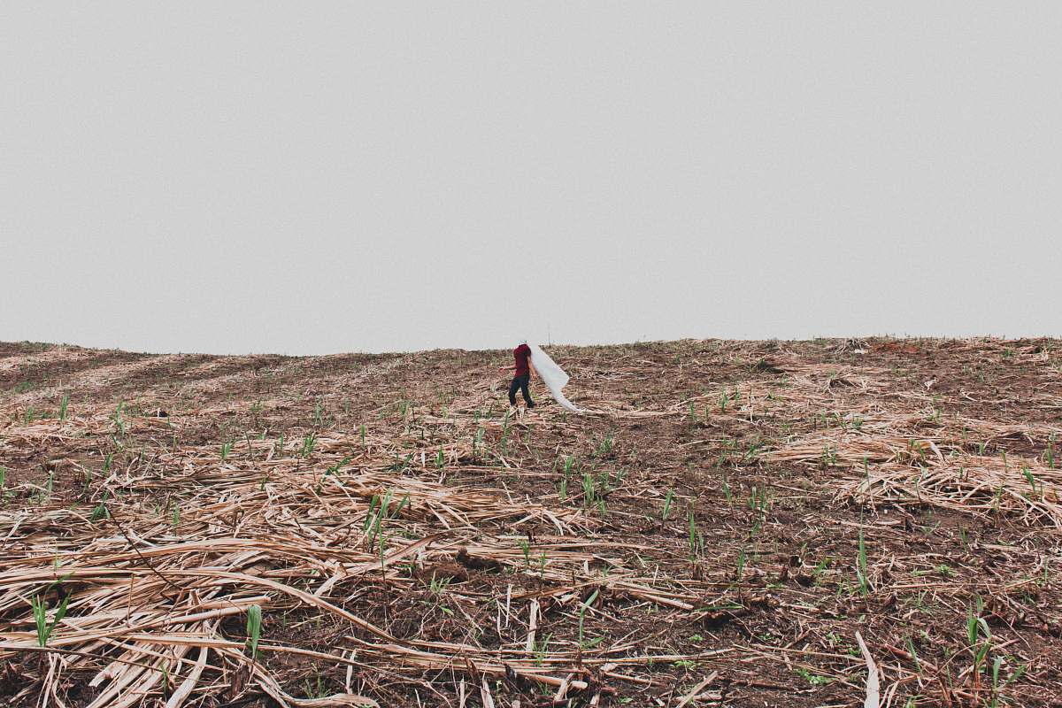soil  nature