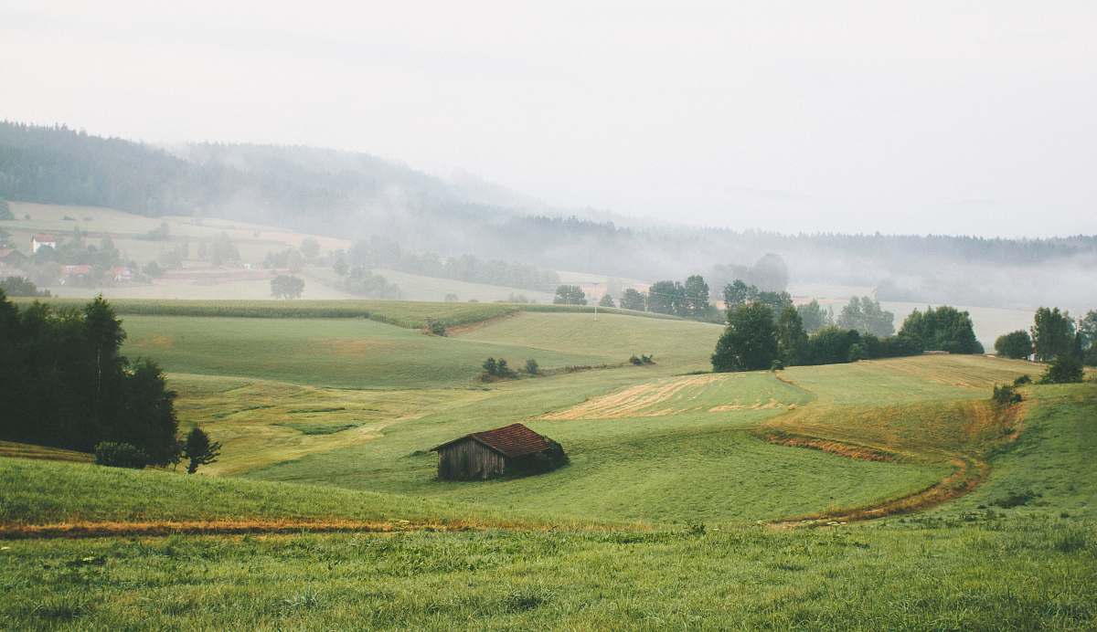 field house surrounded by grass during daytime nature