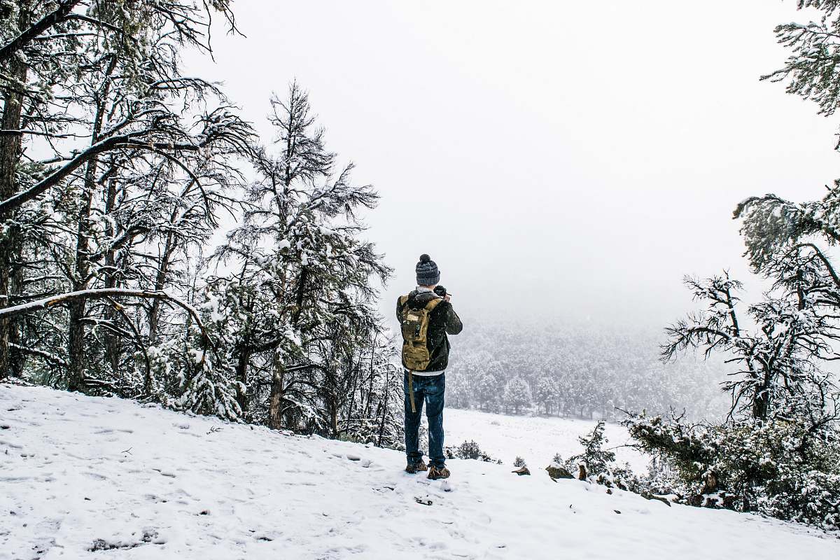 plant man standing on field covered with snow tree