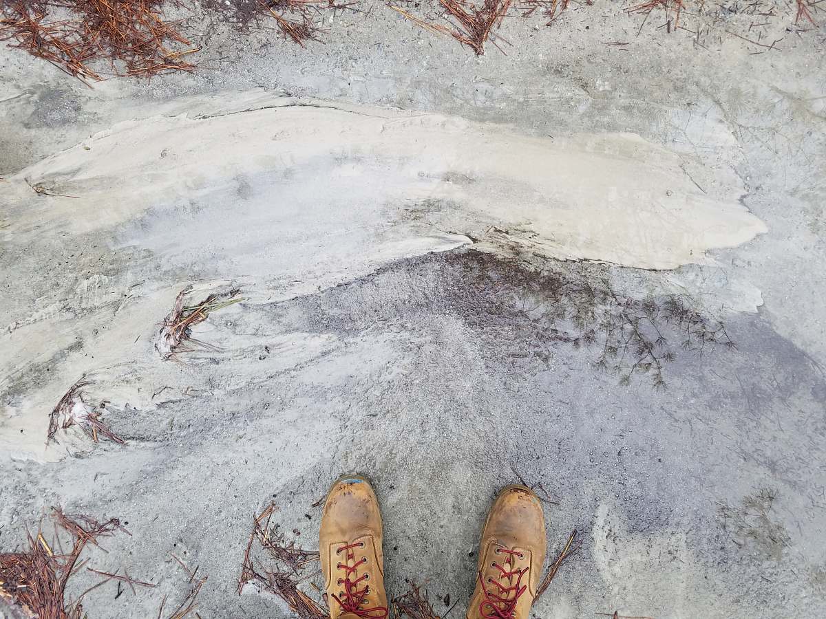 person person showing pair of brown leather shoes people