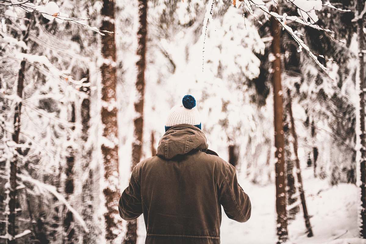 person person standing in middle of trees covered in snow people