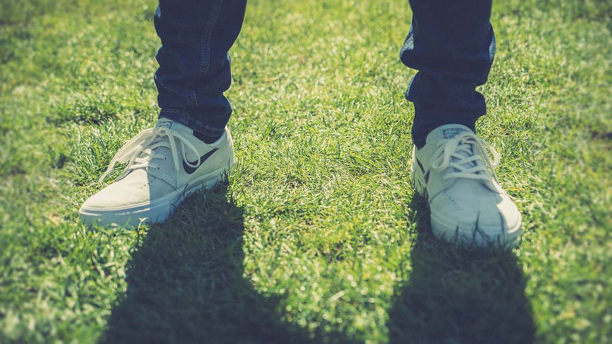 person person standing on grass people