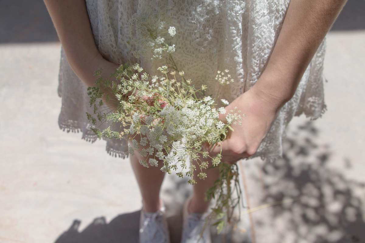 person woman wearing white dress holding white petaled flower people