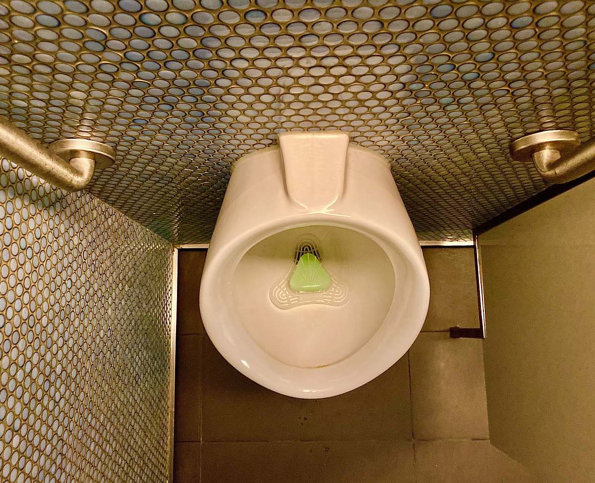 room urinal and metal handle bars toilet