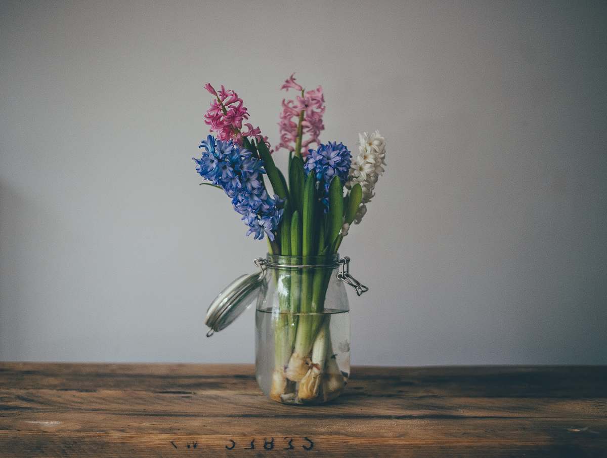 vase green plant on clear glass jar art