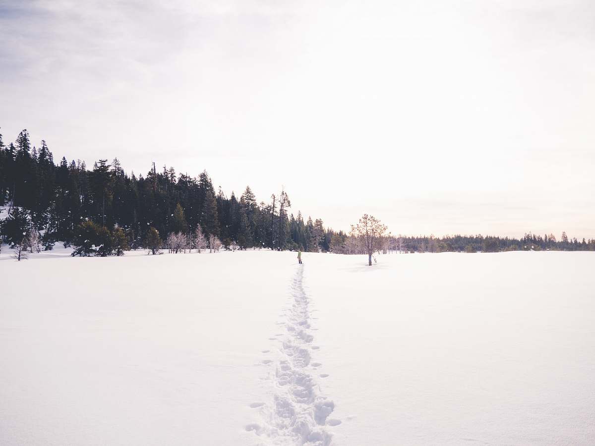 snow man walking on snow during daytime van vleck trailhead