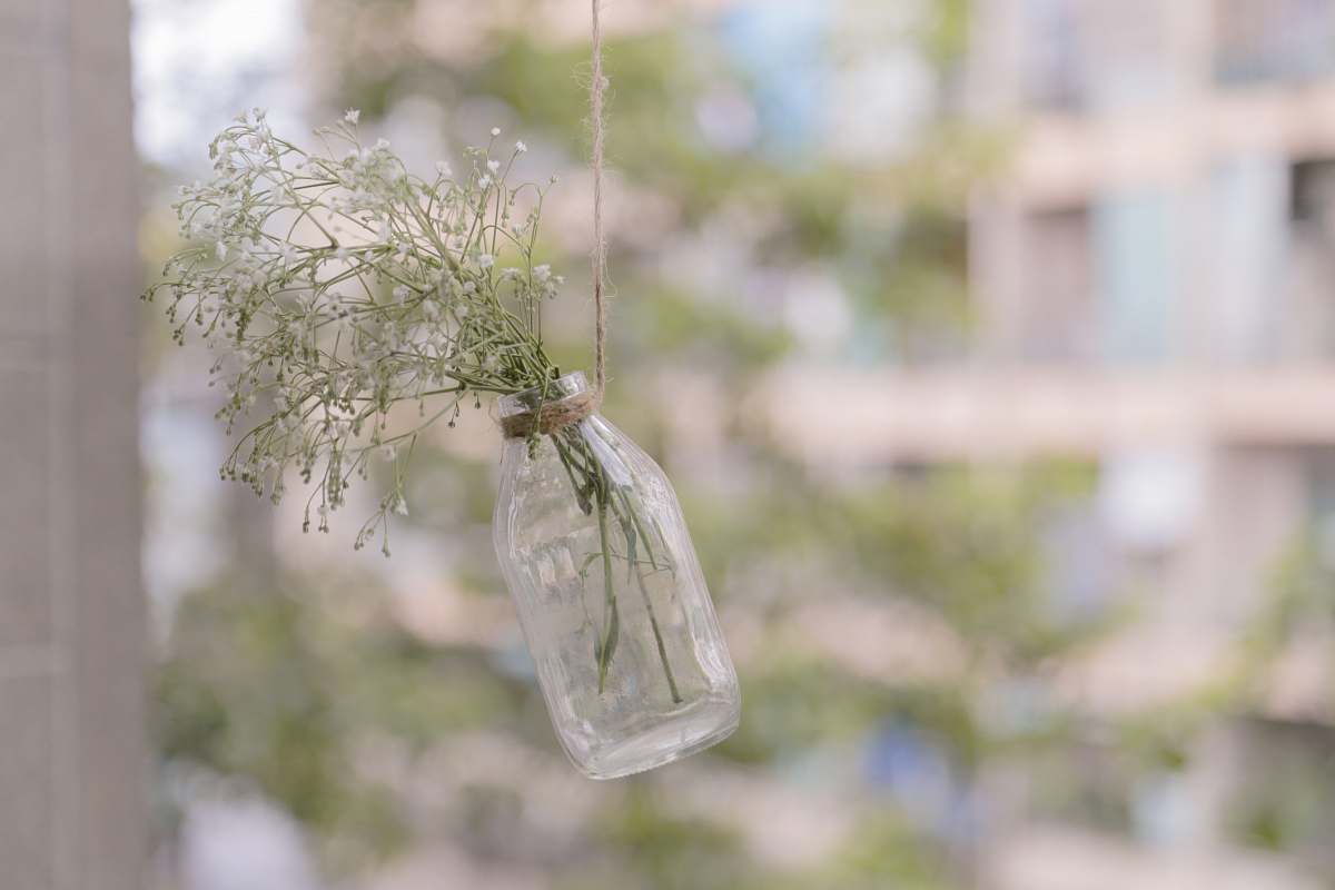 string shallow focus photography of green leafed plant in bottle botanical