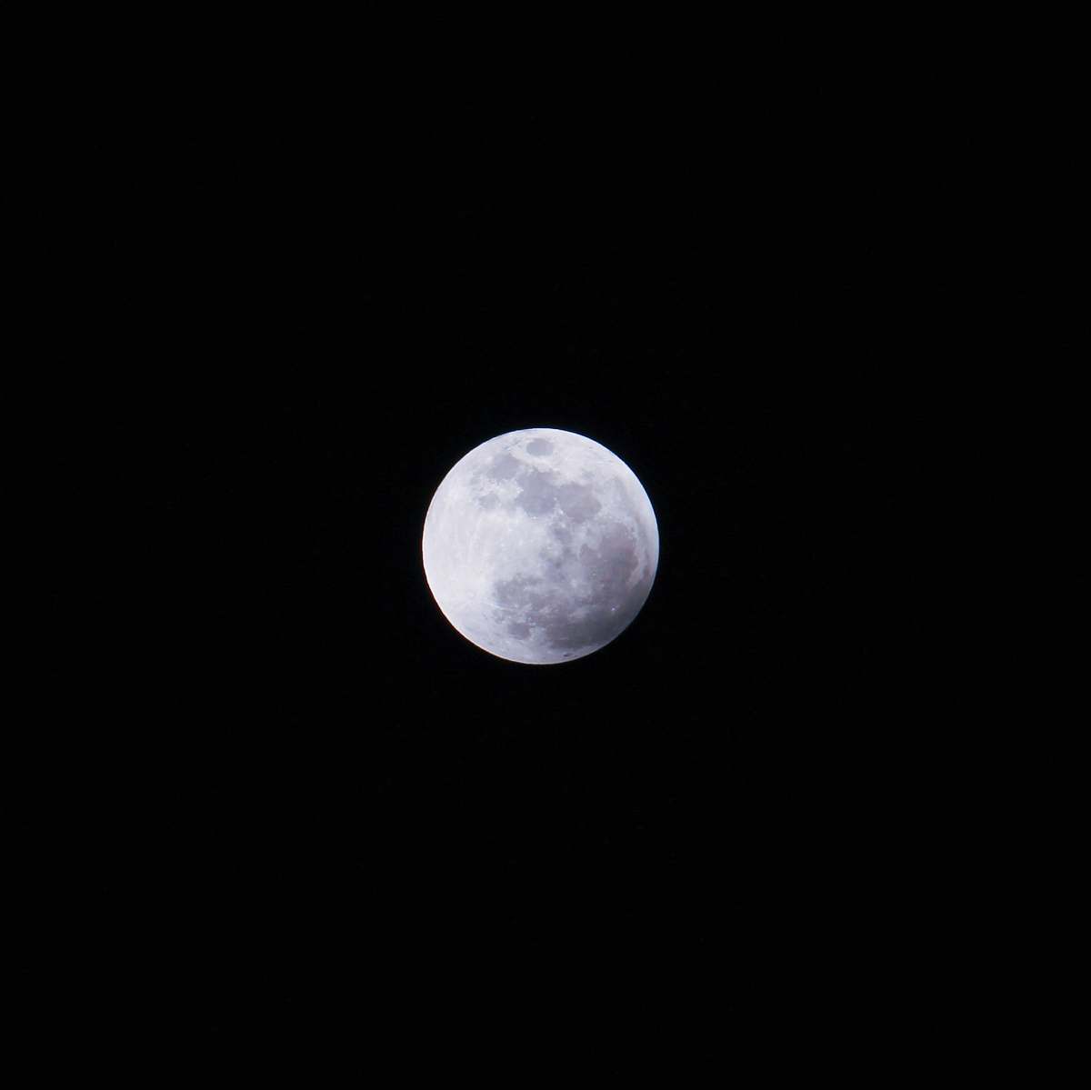 night moon full moon