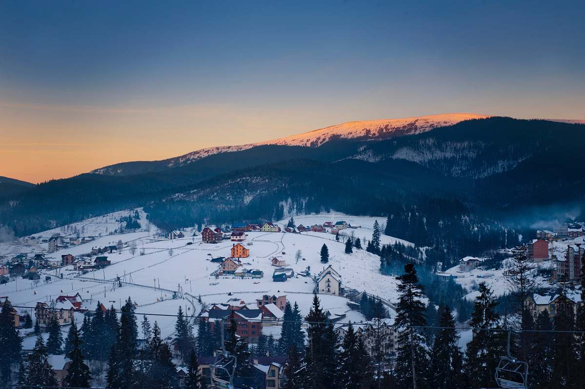 nature aerial view photography of snowy mountain surrounded of larch trees outdoors