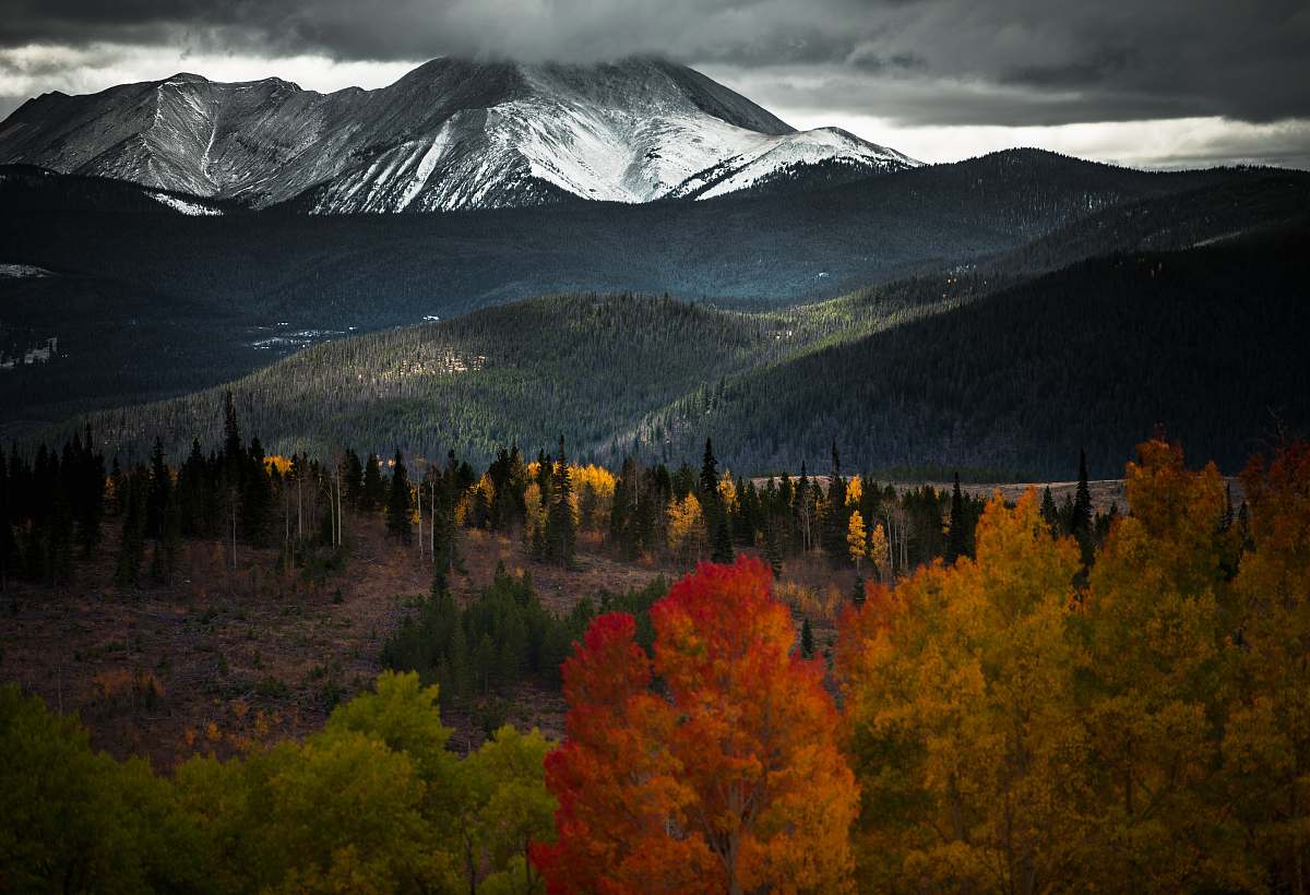 tree landscape photography of mountains forest