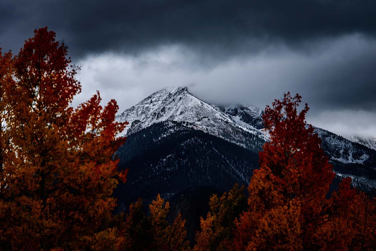 Tree Mountain Under Heavy Clouds Cloud Image Free Photo