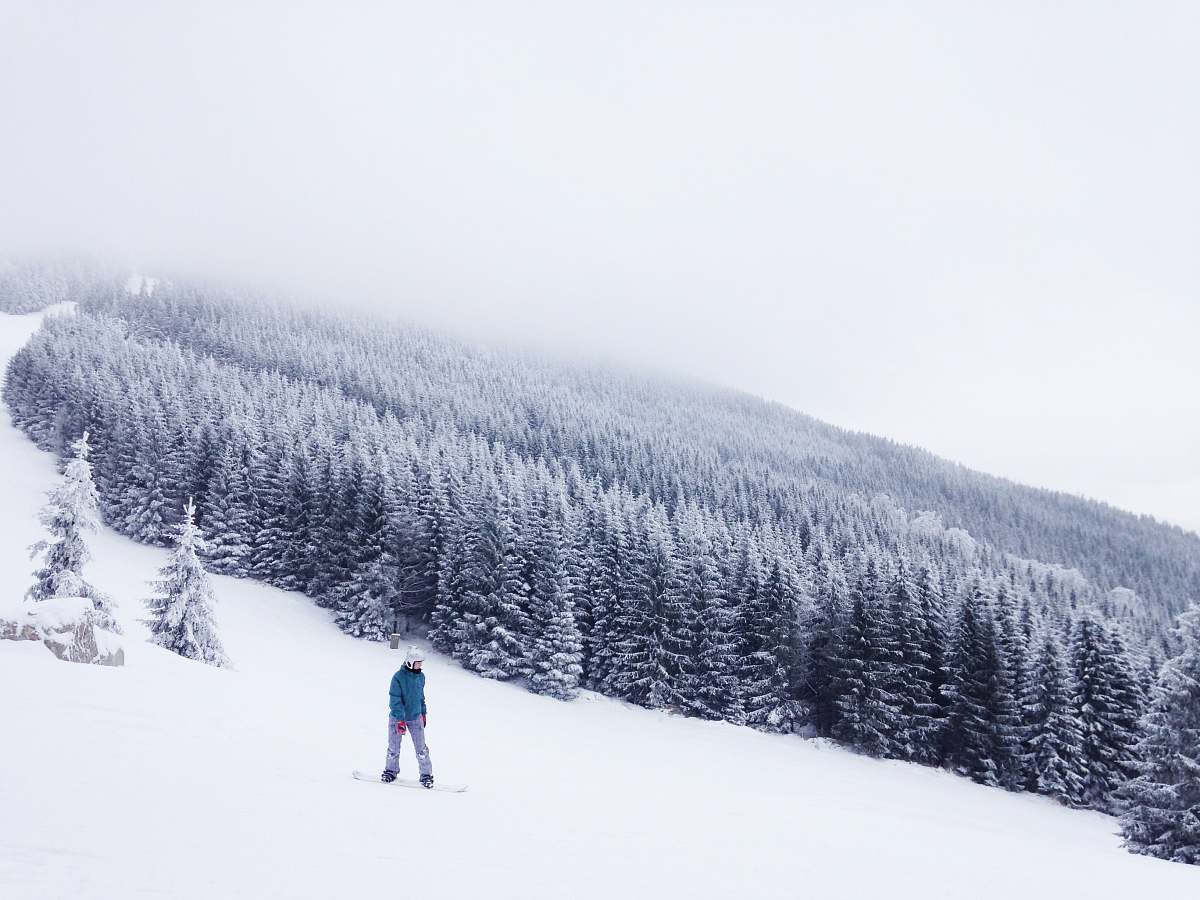 downhill person snowboarding surrounded by trees sport