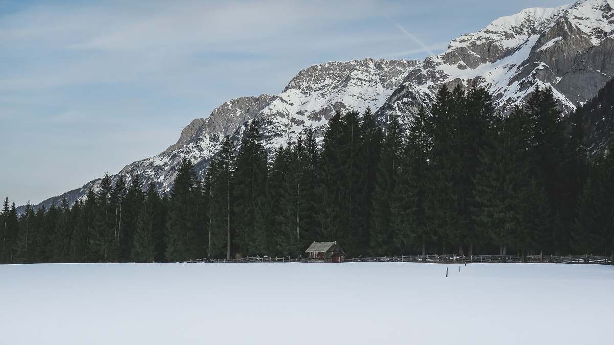 austria photo of trees near mountain alps outdoors