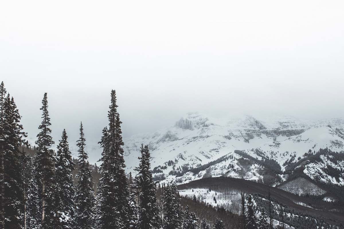 grey snow covered mountain during daytime forest
