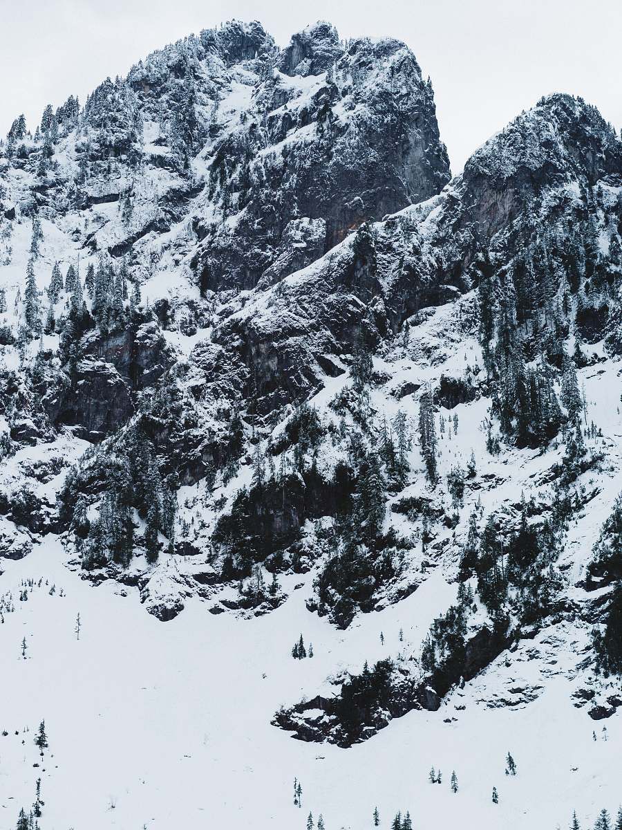 nature snow covered mountain trees