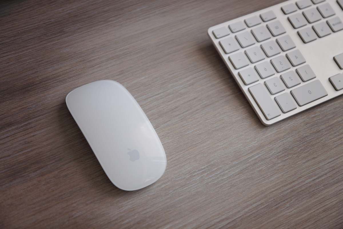 computer Apple Magic Mouse keyboard