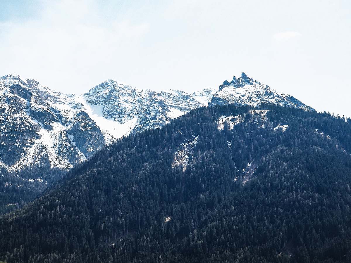 outdoors bird's-eye photography of mountain and trees mountain