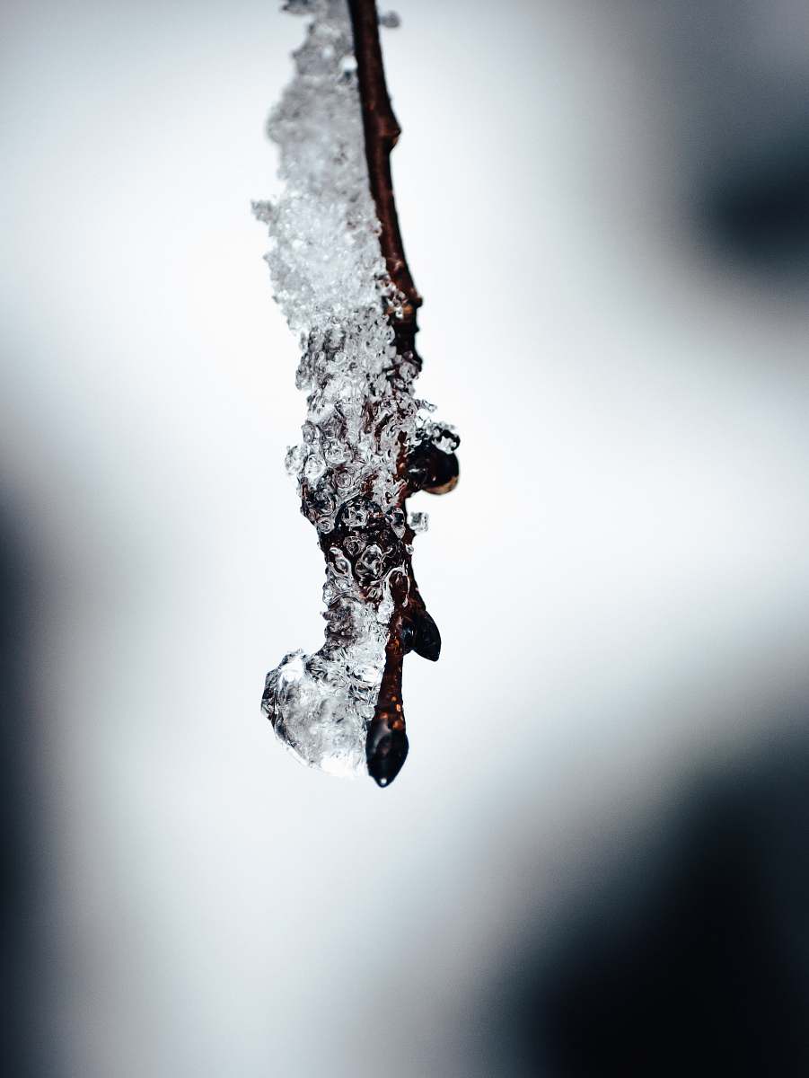 ice close-up photography of water dew outdoors