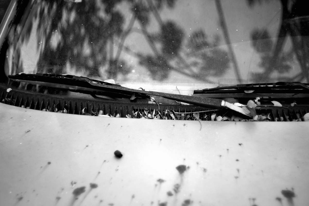 black-and-white gray-scale photo of vehicle white