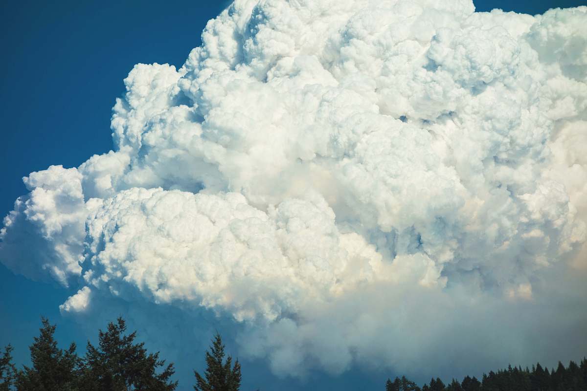 sky low angle photography of white clouds above trees cloudscape