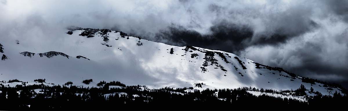 animal mountain covered with snow outdoors