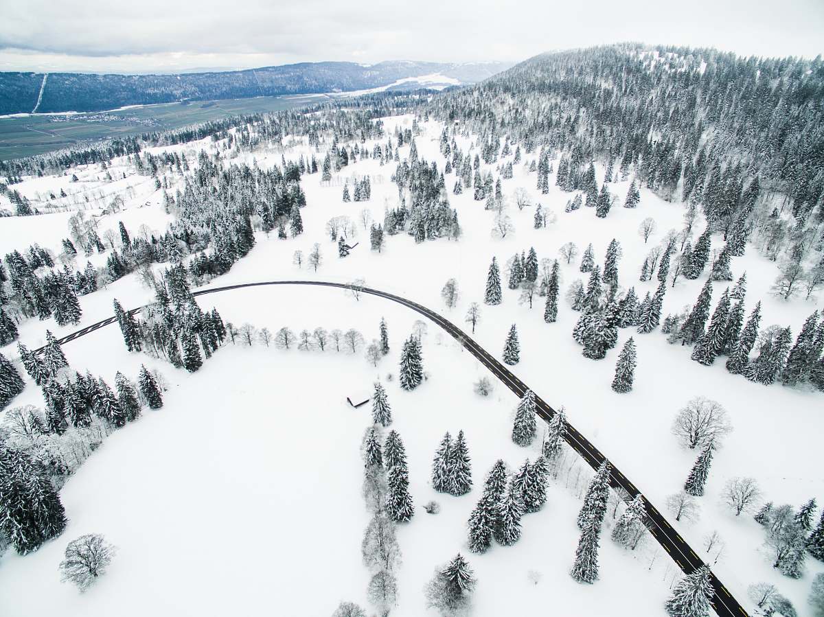 snow pine trees in aerial photography outdoors
