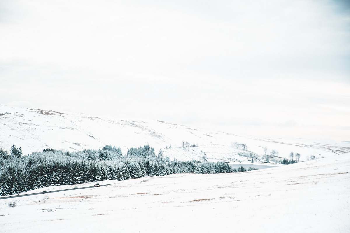 outdoors snow covered ground during daytime plant