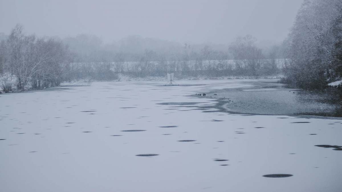 grey snow covered lake with tress on daylight winter